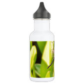 Dragonfly Blue en zwart op gras. Waterfles (Links)