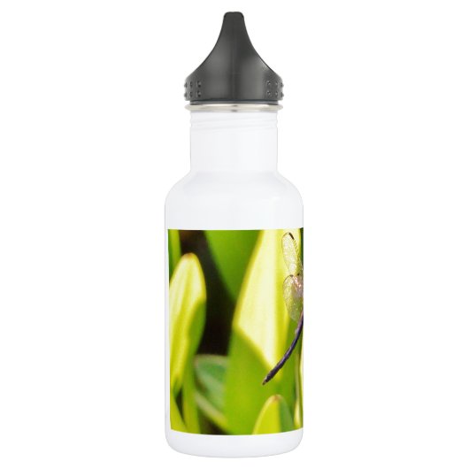 Dragonfly Blue en zwart op gras. Waterfles (Links)