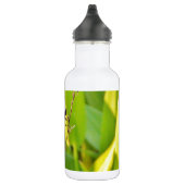 Dragonfly Blue en zwart op gras. Waterfles (Rechts)