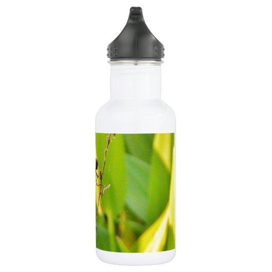 Dragonfly Blue en zwart op gras. Waterfles (Rechts)