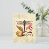 Dragonfly Botanische Natuur Wildleven Briefkaart (Staand voorkant)