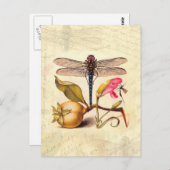 Dragonfly Botanische Natuur Wildleven Briefkaart (Voorkant / Achterkant)