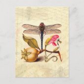 Dragonfly Botanische Natuur Wildleven Briefkaart (Voorkant)