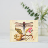 Dragonfly Botanische Natuur Wildleven Briefkaart (Staand voorkant)