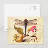 Dragonfly Botanische Natuur Wildleven Briefkaart (Voorkant / Achterkant)