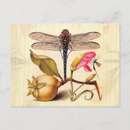 Dragonfly Botanische Natuur Wildleven Briefkaart (Voorkant)