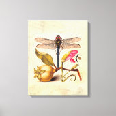 Dragonfly Botanische Natuur Wildleven Canvas Afdruk (Voorkant)