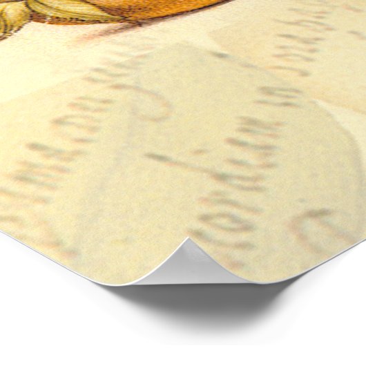 Dragonfly Botanische Natuur Wildleven Poster (Hoek)