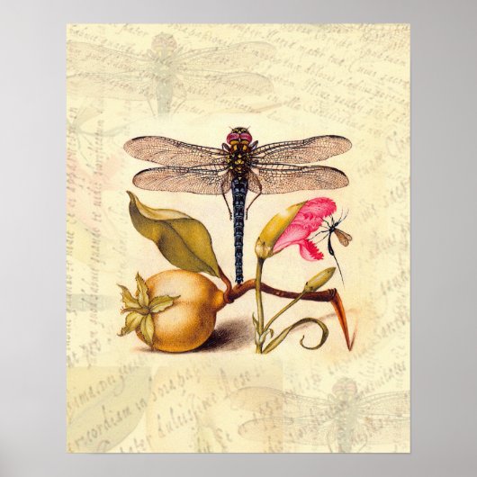 Dragonfly Botanische Natuur Wildleven Poster (Voorkant)