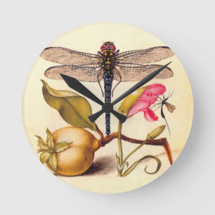 Dragonfly Botanische Natuur Wildleven Ronde Klok