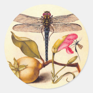 Dragonfly Botanische Natuur Wildleven Ronde Sticker