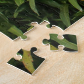 Dragonfly Bridge and Lake, Singapore Legpuzzel (Zijkant)