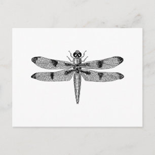Dragonfly Briefkaart