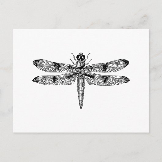 Dragonfly Briefkaart (Voorkant)