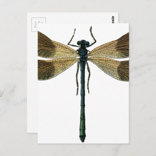  dragonfly briefkaart (Voorkant / Achterkant)