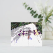 Dragonfly Briefkaart (Staand voorkant)