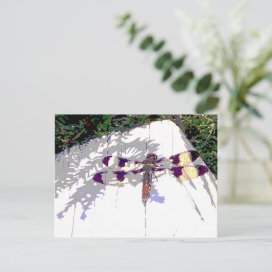 Dragonfly Briefkaart (Staand voorkant)