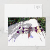 Dragonfly Briefkaart (Voorkant / Achterkant)