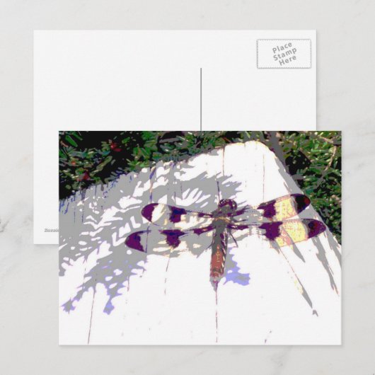 Dragonfly Briefkaart (Voorkant / Achterkant)