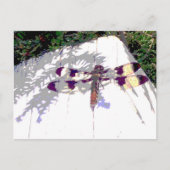 Dragonfly Briefkaart (Voorkant)