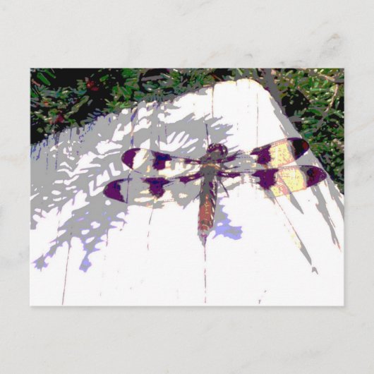 Dragonfly Briefkaart (Voorkant)