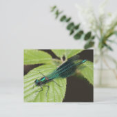 Dragonfly Briefkaart (Staand voorkant)
