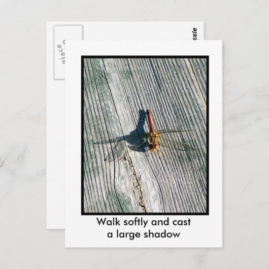 Dragonfly Briefkaart (Voorkant / Achterkant)