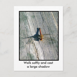 Dragonfly Briefkaart