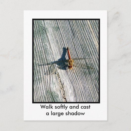 Dragonfly Briefkaart (Voorkant)