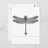 Dragonfly Briefkaart (Voorkant / Achterkant)