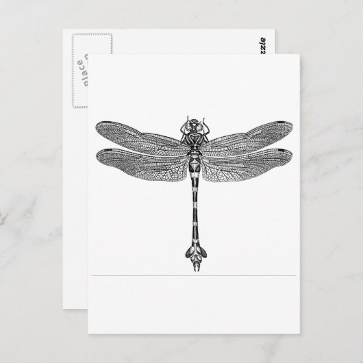 Dragonfly Briefkaart (Voorkant / Achterkant)