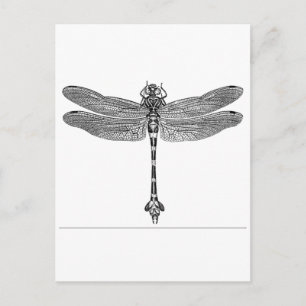 Dragonfly Briefkaart