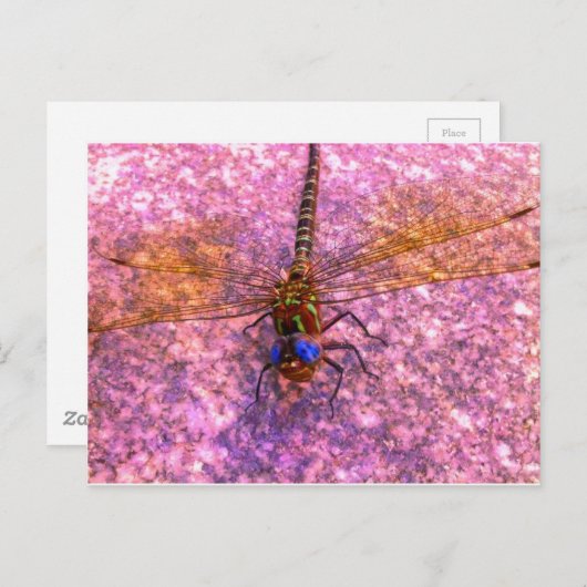 Dragonfly Briefkaart (Voorkant / Achterkant)