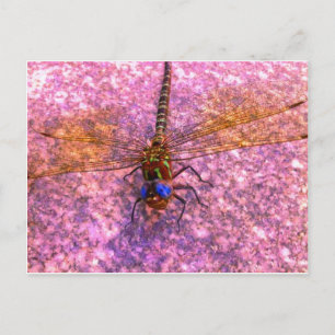 Dragonfly Briefkaart