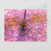 Dragonfly Briefkaart (Voorkant)