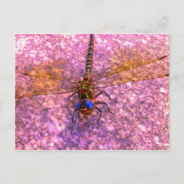 Dragonfly Briefkaart