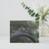 Dragonfly Briefkaart (Staand voorkant)