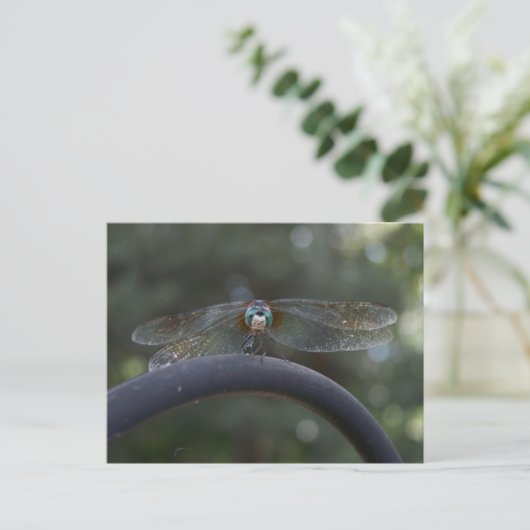 Dragonfly Briefkaart (Staand voorkant)