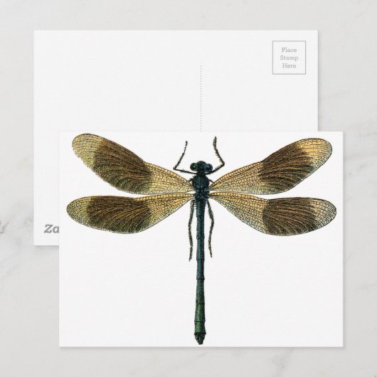  dragonfly briefkaart (Voorkant / Achterkant)