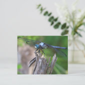 Dragonfly Briefkaart (Staand voorkant)