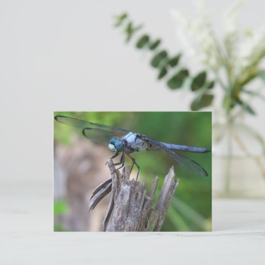 Dragonfly Briefkaart (Staand voorkant)