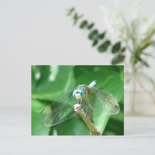 Dragonfly Briefkaart (Staand voorkant)