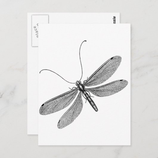 Dragonfly Briefkaart (Voorkant / Achterkant)