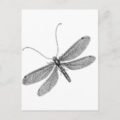 Dragonfly Briefkaart (Voorkant)