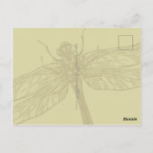 Dragonfly Briefkaart (Achterkant)