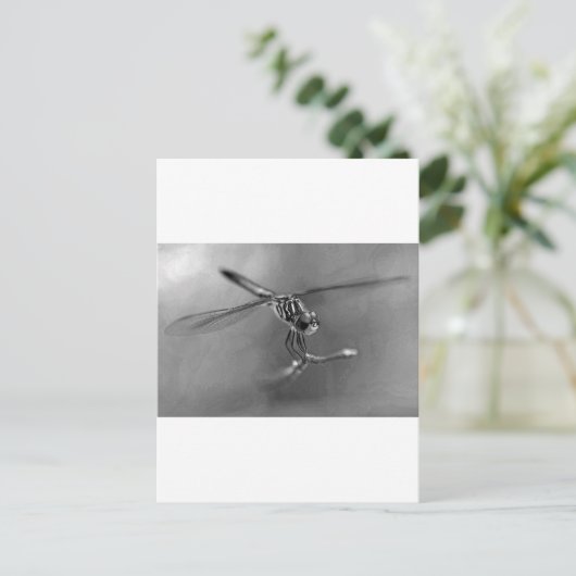 Dragonfly Briefkaart (Staand voorkant)
