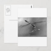 Dragonfly Briefkaart (Voorkant / Achterkant)