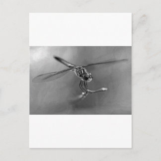 Dragonfly Briefkaart