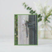 Dragonfly Briefkaart (Staand voorkant)