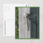 Dragonfly Briefkaart (Voorkant / Achterkant)